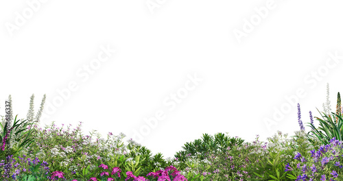 Foto Large foreground flowerbed with different blooming flowers and plants isolated o