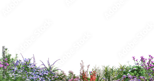 Cuadro en lienzo Large foreground flowerbed with different blooming flowers and plants isolated o