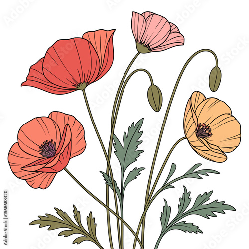 A delicate illustration showcases vibrant poppy flowers in shades of red orange and pink with slender green stems and leaves