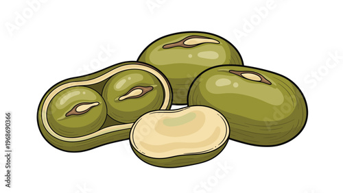Close-up illustration of fresh green mung beans in a pod alongside loose beans and a cross-section on a plain white background.