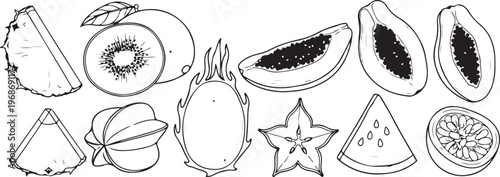 A collection of vintage purses and bags with intricate floral embroidery Vector