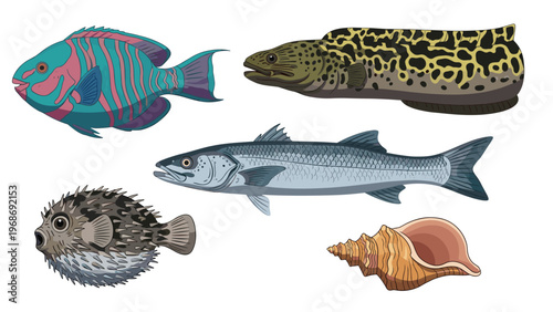 Diverse collection of colorful marine life including a parrotfish, spotted eel, pufferfish, and a large sea shell on a white background.