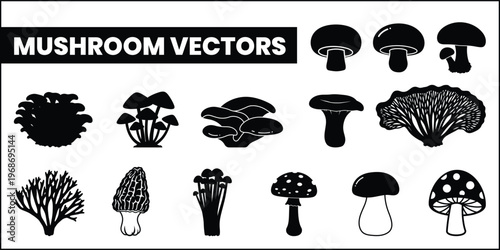 Collection of black and white mushroom vector silhouettes and line art illustrations for design