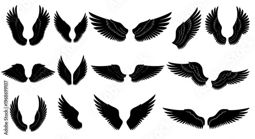 Wings set with various styles and textures for design use featuring silhouette, vector, graphic with illustration and fantasy elements for mythology,