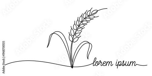 Minimalist Continuous Line Drawing of Wheat Ear for Logo Design
