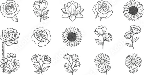 Collection of various flower outlines including roses, sunflowers, and other blooms, vector art.