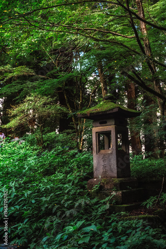 Obraz na plátne A moss covered stone lantern at the Toshogu Shrine at Nikko.