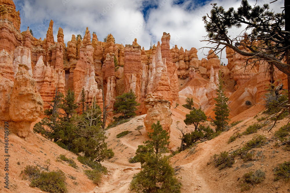Naklejka premium Bryce canyon