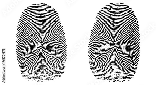Fingerprints black and white with detailed line patterns and circular ridges featuring fingerprint, thumbprint, thumbprints with finger print and
