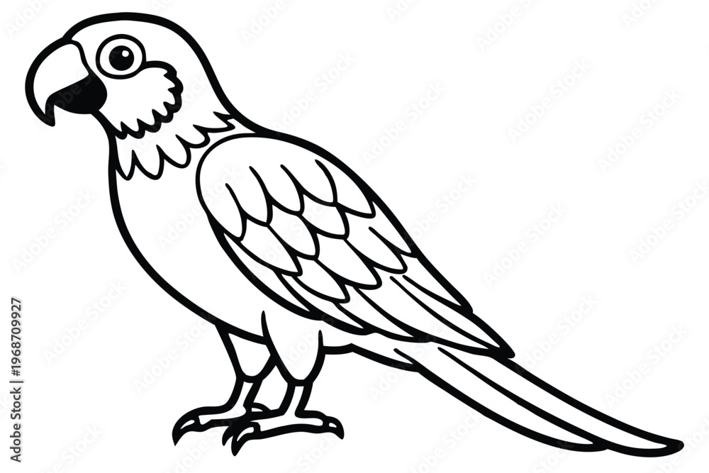 Fototapeta premium macaw bird silhouette line art vector illustration with a white background