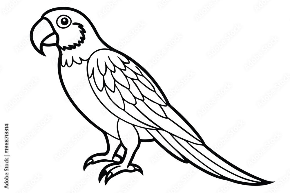 Fototapeta premium macaw bird silhouette line art vector illustration with a white background