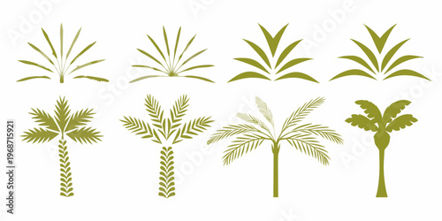 Collection of stylized green palm leaves and tropical trees