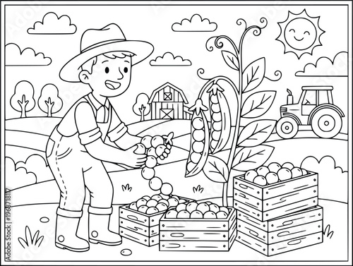 Farmer is harvesting fresh peas in a field for this creative coloring page