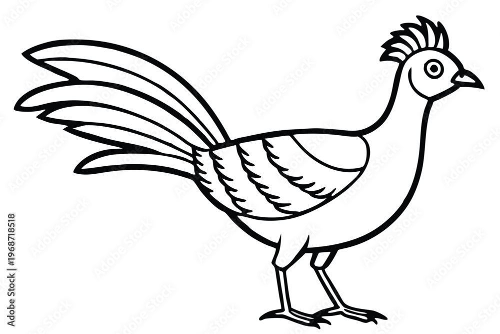 Fototapeta premium lyrebird silhouette line art vector illustration with a white background