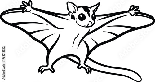 Line Art of a Flying Squirrel, Detailed Animal Outline Illustration for Wildlife, Nature, and Animal Graphics