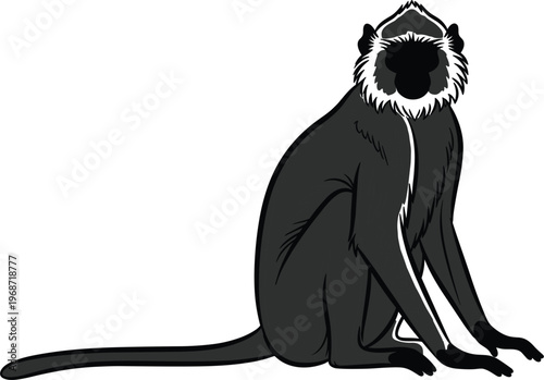 Line Art of a Gibbon Sitting with Unique Markings on Its Body, Primate Outline Illustration for Wildlife, Nature, and Animal Graphics