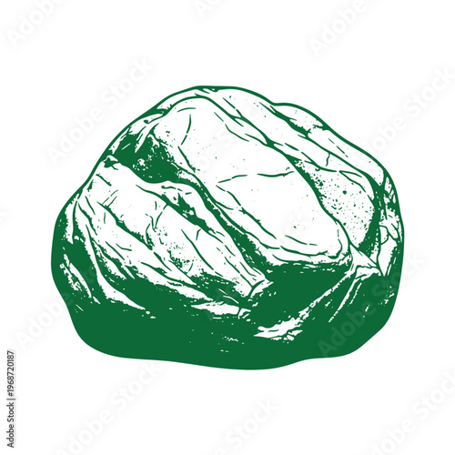 Green cabbage vegetable white background green and white leafy vegetable