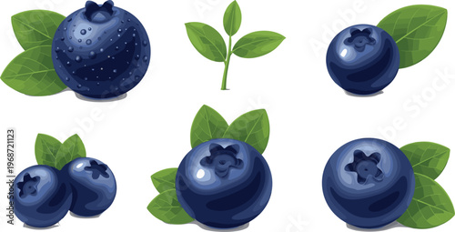 Hand-Drawn Blueberry Illustration Set with Blue Berries, Green Leaves, and Plant Sprouts for Fruit and Nature Designs
