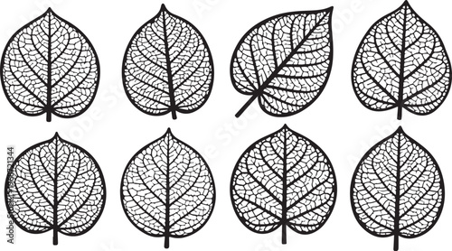 Geometric patterns and shapes within circular and star-like divisions Vector