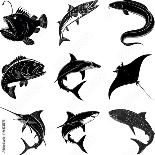 Marine Fish and Shark Species Silhouette Bundle
