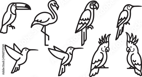 Simple line drawings of various animals including birds and a rabbit Vector