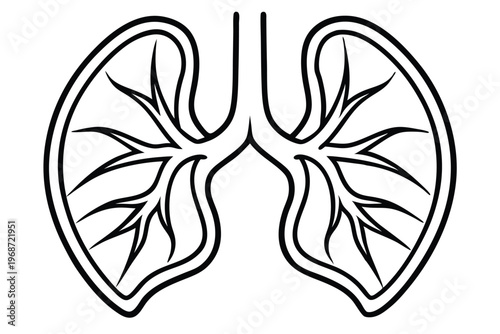 lungs silhouette line art vector illustration with a white background