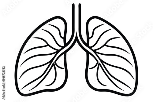 lungs silhouette line art vector illustration with a white background