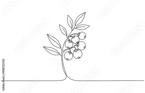 Continuous one line drawing of a botanical plant with leaves and berries.