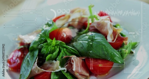 Displaying plated salad with basil leaves, halved cherry tomatoes and ham on tabletop, HUD overlays