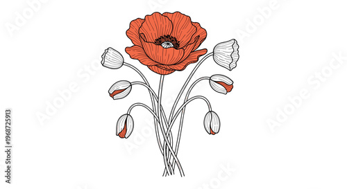 Beautiful red poppy flower bouquet with several closed buds and green stems in an artistic hand drawn style for decoration.