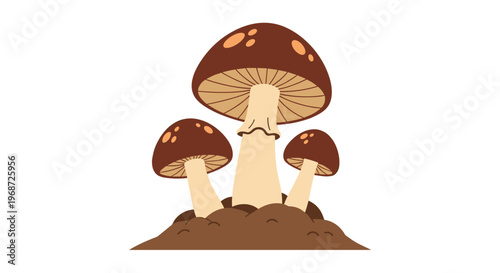Three brown mushrooms with spotted caps growing together in a mound of dark soil against a clean white background.