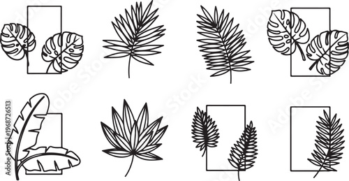 Various leaves and flowers with geometric and organic shapes. Vector