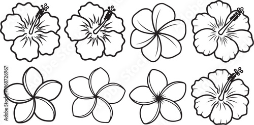 Pattern of eight stylized flowers with varying petal counts and details Vector