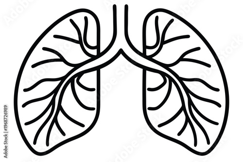lungs silhouette line art vector illustration with a white background