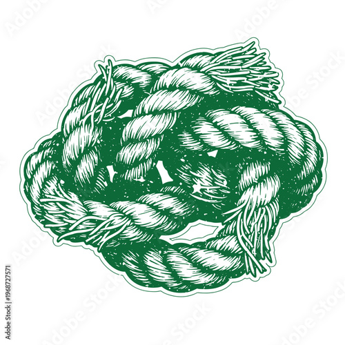 Green rope coil with white background thick rope