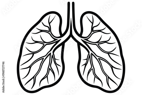 lungs silhouette line art vector illustration with a white background