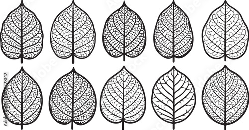 Detailed geometric patterns of intersecting lines and curves within oval frames Vector