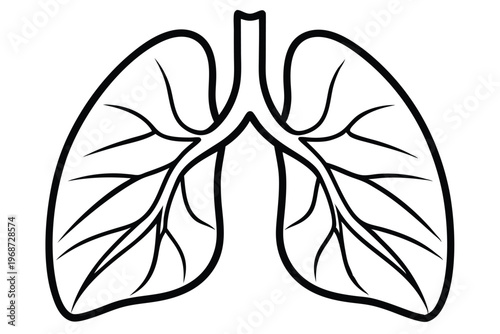 lungs silhouette line art vector illustration with a white background