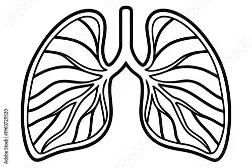 lungs silhouette line art vector illustration with a white background