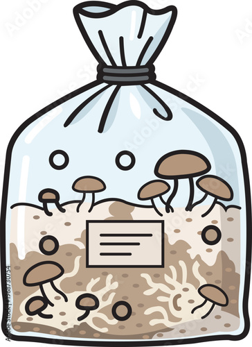 Mushroom Grow Bag With Mycelium and Fruiting Brown Mushrooms in Clear Bag