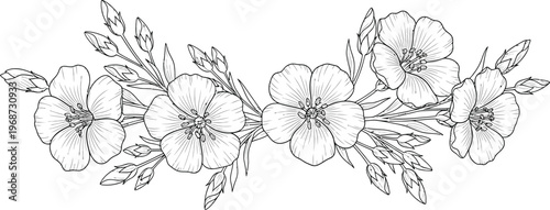 Detailed black and white line art illustration featuring a graceful arrangement of flax blossoms and unopened buds. Ideal for textile patterns, nature-themed decor, or mindful creative projects.