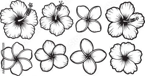 Black and white illustration of eight different daisy flowers with varying petal patterns Vector