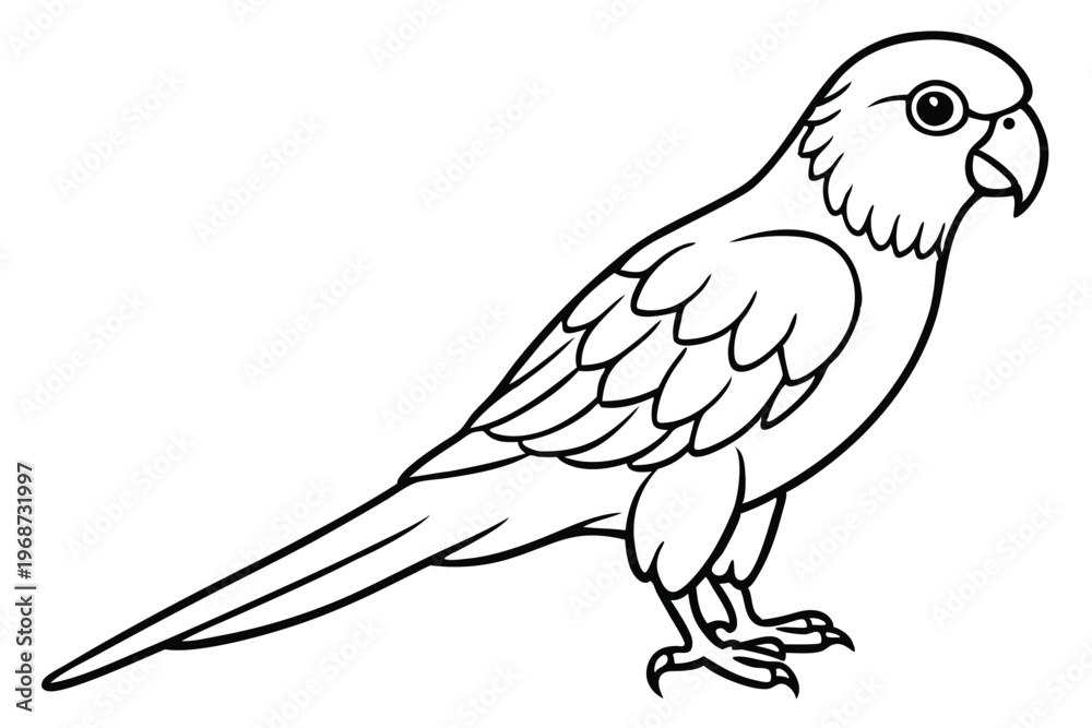 Fototapeta premium lorikeet bird silhouette line art vector illustration with a white background