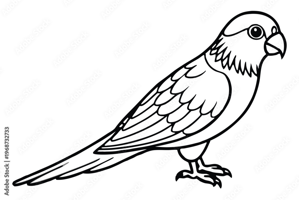 Fototapeta premium lorikeet bird silhouette line art vector illustration with a white background