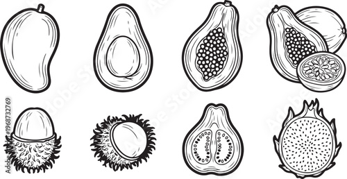 Hand-drawn illustrations of organic shapes and patterns on lined paper Vector