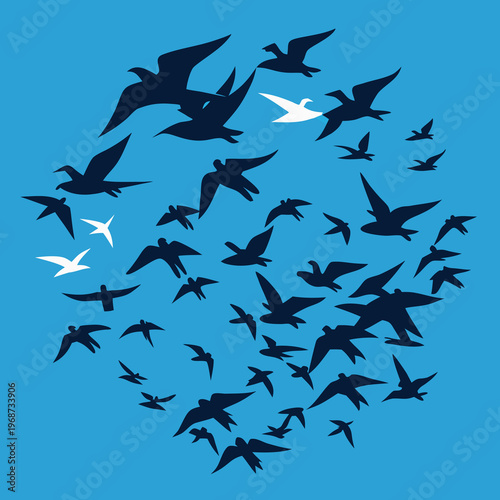 flock of birds flying in clear blue sky