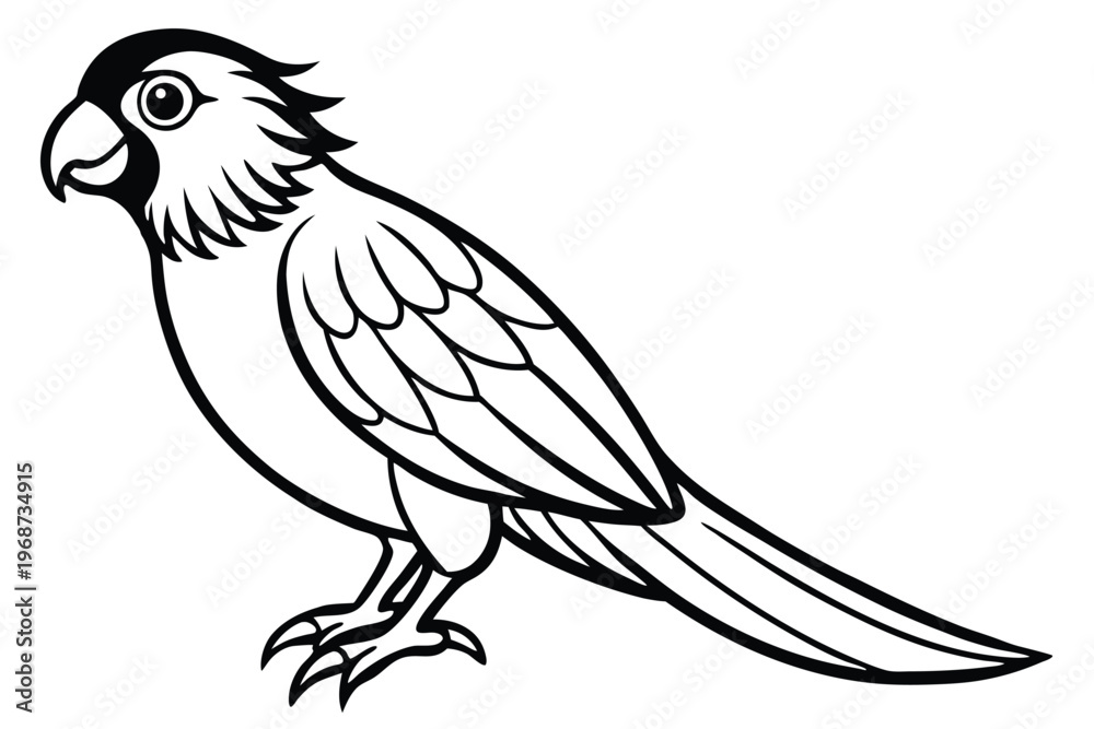 Obraz premium lorikeet bird silhouette line art vector illustration with a white background