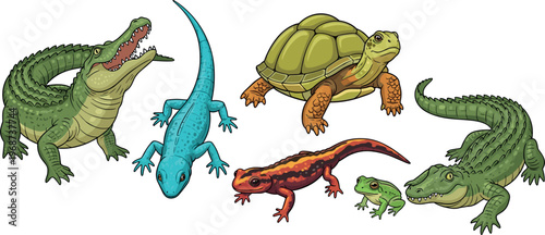 Reptile animal collection featuring crocodile turtle lizard salamander frog wildlife set detailed colorful vector illustration isolated on white background