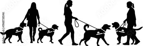 Silhouettes of women walking service dogs in harnesses on leashes in various positions