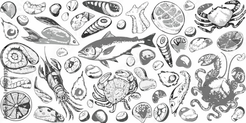 Variety of marine life and seashells in a detailed sketch illustration